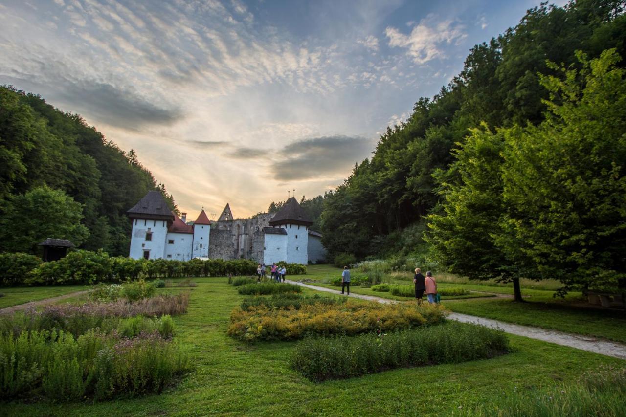 Dvorec Trebnik - Sobe Slovenske Konjice ภายนอก รูปภาพ